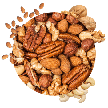 Kuruyemiş / Nuts